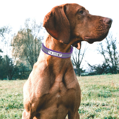 Pet Leather Collar