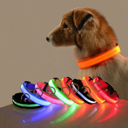 Dog Collar Light